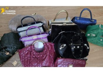 Denunciati un commerciante e un pellettiere all'Osmannoro