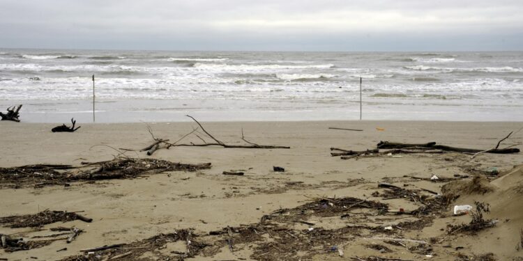 Il sindaco di Cervia: "Si raccomanda la massima attenzione"
