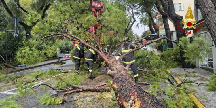 Situazione in miglioramento nel corso della giornata