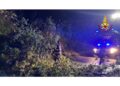 Numerose richieste soccorso per alberi e rami caduti in strada