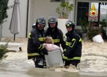 Nel Forlivese frane e alberi caduti con strade ostruite