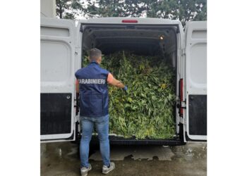 Scoperti tentano fuga