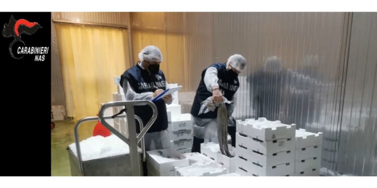 Per cattivo stato di conservazione