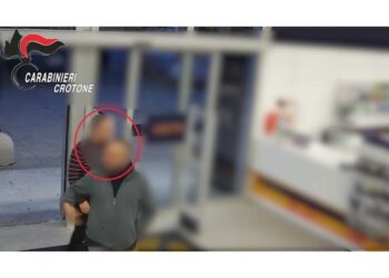 Gli altri 15 coinvolti devono rispondere di associazione mafiosa