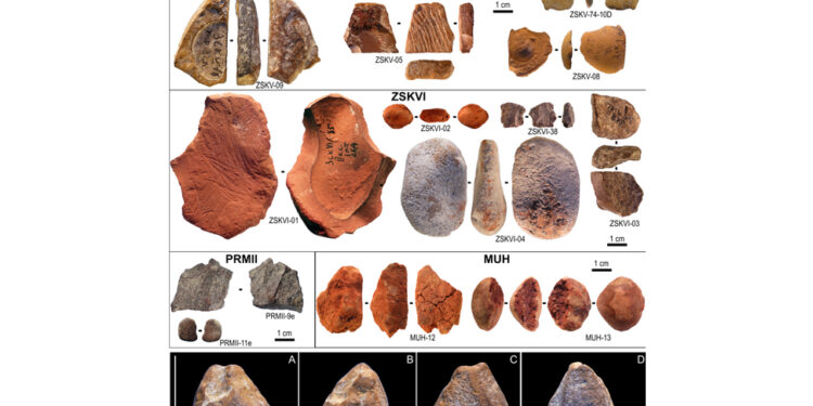 Studio su Science Advances