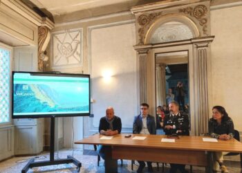 Si stimano tra i 35 e i 50 esemplari in tutta provincia del Vco