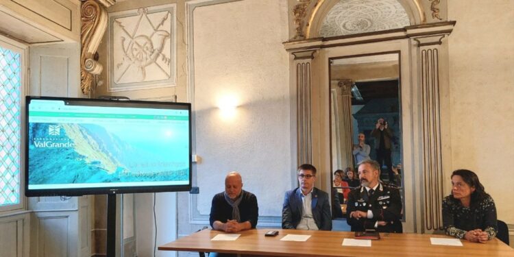 Si stimano tra i 35 e i 50 esemplari in tutta provincia del Vco