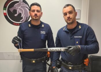 L'aggressore avrebbe fatto parte di un gruppo di giovani