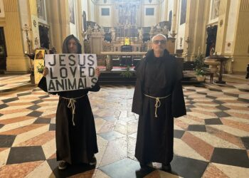 L'iniziativa contro la decisione di vietare l'ingresso ai cani