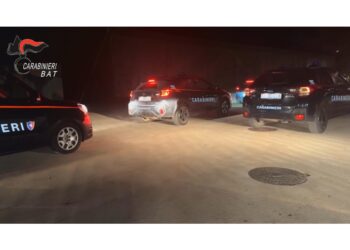 L'operazione dei carabinieri nel nord della Puglia