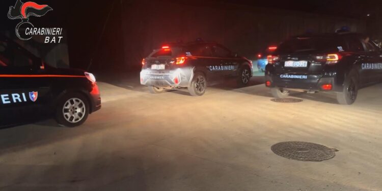 L'operazione dei carabinieri nel nord della Puglia