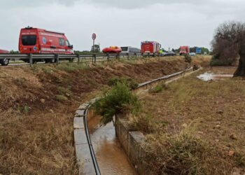 E' lungo il canale di scolo verso il mare