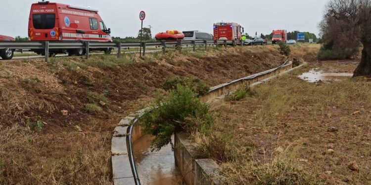 E' lungo il canale di scolo verso il mare