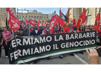 Manifestanti: "Free Palestine"