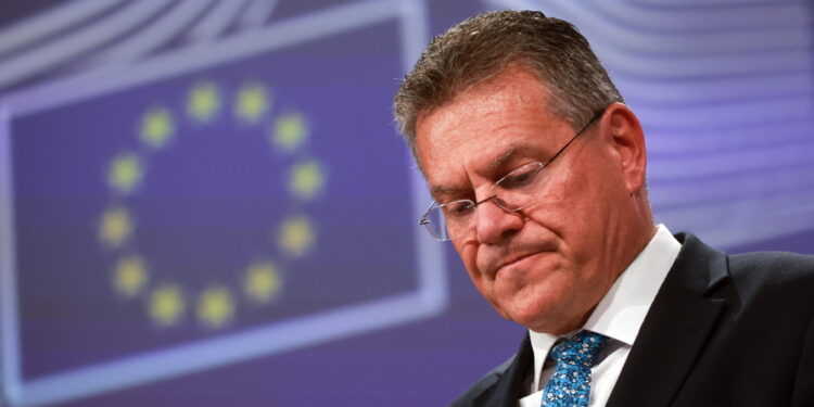 Il commissario al Commercio in audizione alle Camere