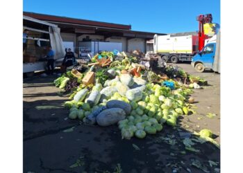 Sanzioni a sei venditori cinesi in un mercato abusivo in città