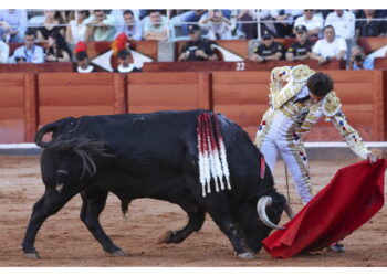 Cresce invece l'affluenza a musei