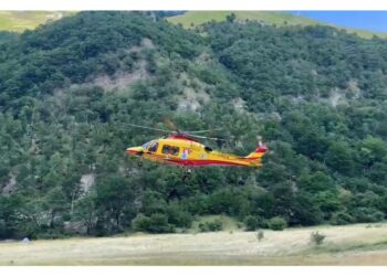 Ricoverati in ospedale. Le loro condizioni non sono gravi