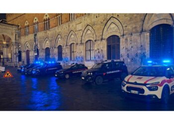 Rinvenuta su un tetto vicino alla Torre del Mangia