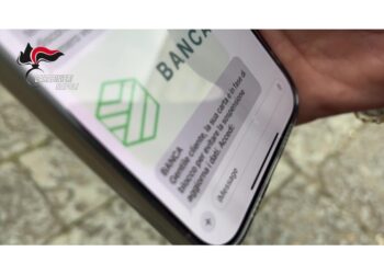 Banda acquistava i dati delle loro vittime dal dark web