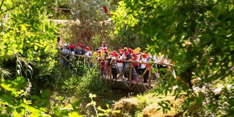 Mim aperto a giovani Ciceroni e iniziativa per rispetto ambiente