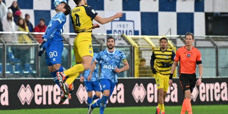 L'arbitro Chiffi in Como-parma della stagione 2023-2024 (foto Roberto Colombo)