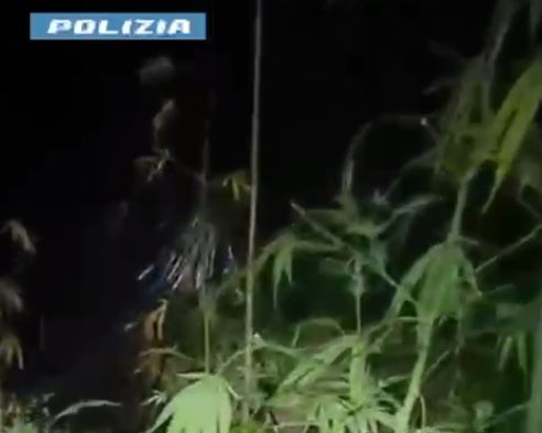 Dalla coltivazione alla vendita, tutto a Prestino. Tre arresti per spaccio