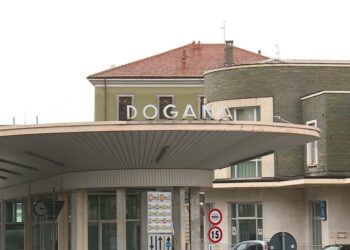 dogana