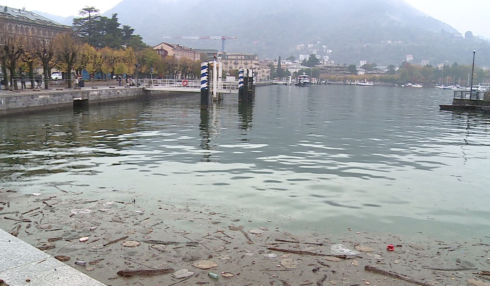 Corse degli aliscafi ancora sospese, la lettera dei pendolari. La Navigazione: “Tronchi sommersi, il rischio resta alto”