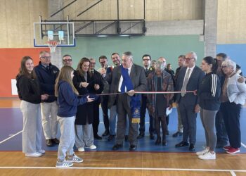palestra olgiate