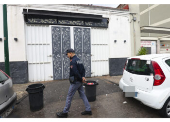 Killer 15enne voleva colpire un amico. Ha agito da solo a piedi