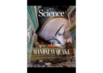 Dal Zillo insegna alla NTU di Singapore