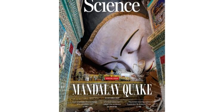 Dal Zillo insegna alla NTU di Singapore