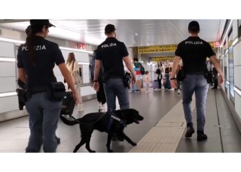 Aveva già minacciato una donna a Palermo