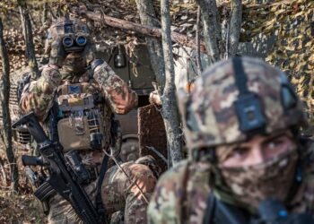 Nell'ambito dell'evento addestrativo "Brave Warrior 25-2"