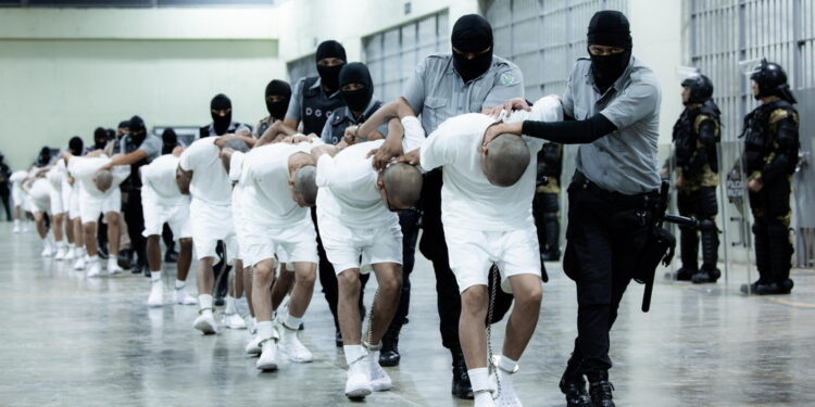 Considerato il capo finanziario dell'organizzazione criminale