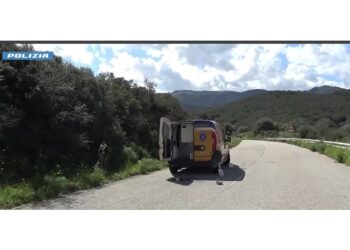 Operazione della Polizia con centinaia di agenti sul campo