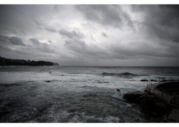 Di soldato australiano poi ucciso in azione in Francia