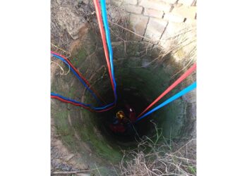 L'animale annaspava nell'acqua a circa sette metri di profondità