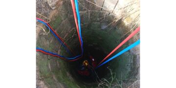 L'animale annaspava nell'acqua a circa sette metri di profondità