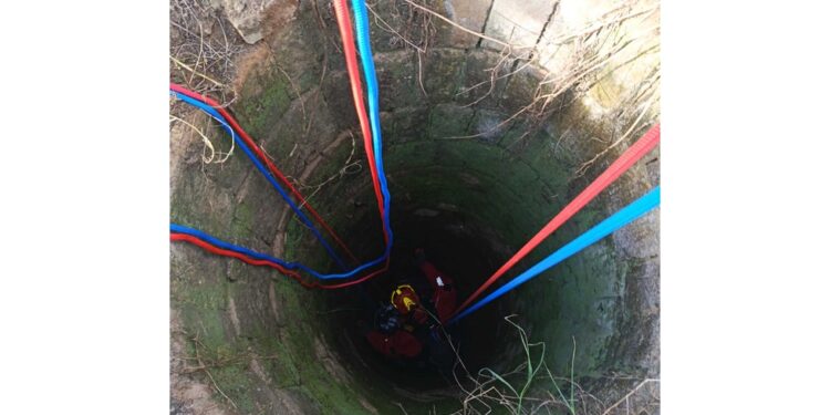 L'animale annaspava nell'acqua a circa sette metri di profondità