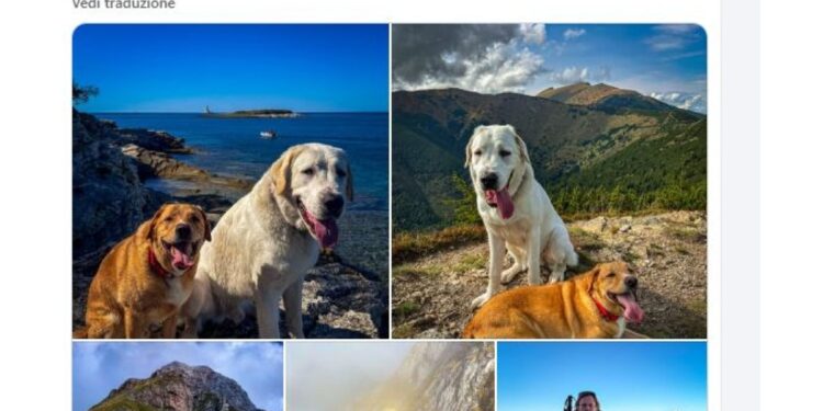 Messaggio sui social da parte della sorella