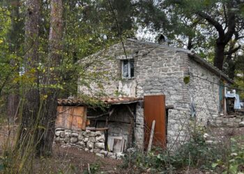 'Attraverso l'educazione domiciliare'