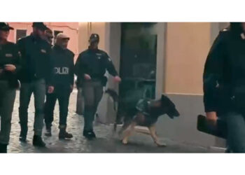 Gestiva traffico da Sud America