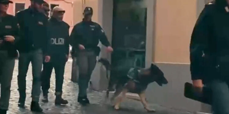 Gestiva traffico da Sud America