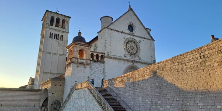 L'appello dei vescovi