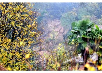 'Fondamentali gli interventi per la mitigazione del rischio'