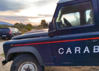 L'incidente è avvenuto attorno alle 4 del mattino