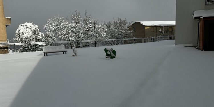 Nella notte fiocchi bianchi anche a quota 500 metri