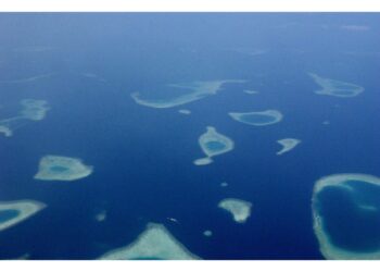 Il provvedimento per i nati dopo gennaio 2007